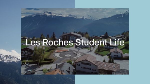 Alunos da Les Roches desenvolveram 10 iniciativas oferecidas pelo sector do turismo
