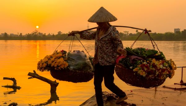 Image Tours: Descubra o Vietname durante11 dias por 1740€