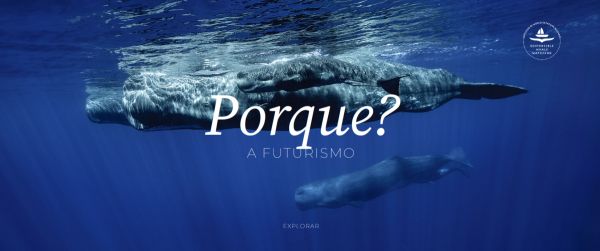 Regenerative Travel Impact Awards 2023: A Futurismo Azores Adventures é a única finalista nacional