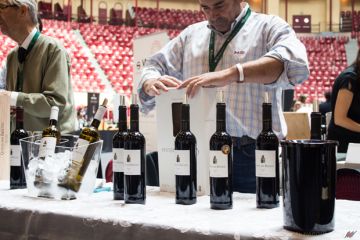 Pequenos e médios produtores do vinho pedem ajuda ao Governo