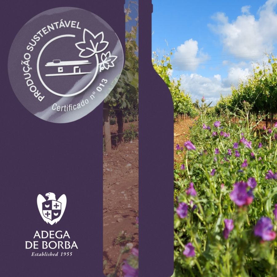 Adega de Borba certificada pelo ‘Programa de Sustentabilidade dos Vinhos do Alentejo”