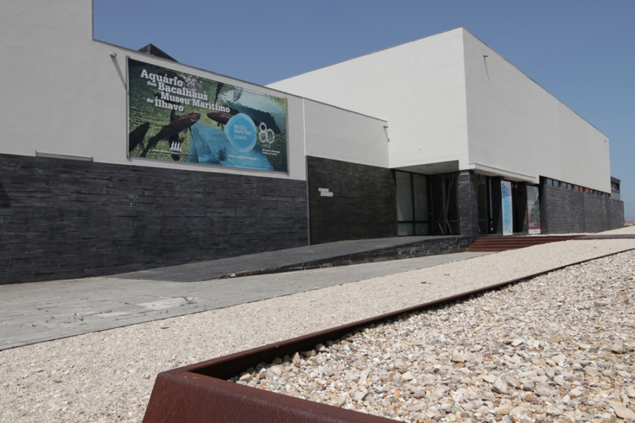 Museu Marítimo de Ílhavo encerra 2019 com recorde de visitas